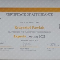 Powiększ obraz: certificate 16