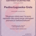 Powiększ obraz: certificate 3