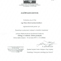 Powiększ obraz: certificate 14