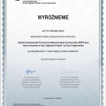Powiększ obraz: certificate 2