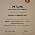 Powiększ obraz: certificate 3