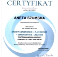 Powiększ obraz: certificate 11