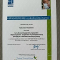 Powiększ obraz: certificate 20