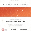 Powiększ obraz: certificate 9