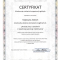 Powiększ obraz: certificate 7