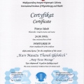Powiększ obraz: certificate 2