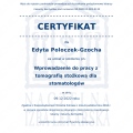 Powiększ obraz: certificate 2