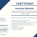 Powiększ obraz: certificate 5