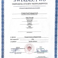 Powiększ obraz: certificate 1