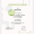 Powiększ obraz: certificate 22