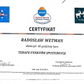 Powiększ obraz: certificate 6