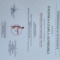 Powiększ obraz: certificate 13