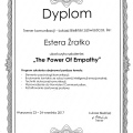 Powiększ obraz: certificate 6