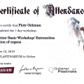 Powiększ obraz: certificate 11
