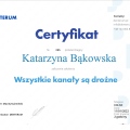 Powiększ obraz: certificate 3
