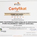 Powiększ obraz: certificate 8