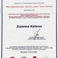 Powiększ obraz: certificate 2
