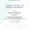 Powiększ obraz: certificate 7