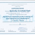 Powiększ obraz: certificate 5