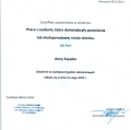 Powiększ obraz: certificate 2