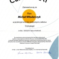 Powiększ obraz: certificate 1