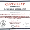 Powiększ obraz: certificate 7