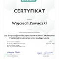 Powiększ obraz: certificate 8