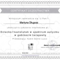 Powiększ obraz: certificate 1
