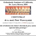 Powiększ obraz: certificate 4