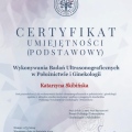 Powiększ obraz: certificate 2