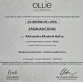 Powiększ obraz: certificate 80