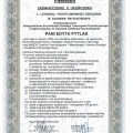Powiększ obraz: certificate 1