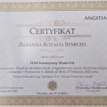 Powiększ obraz: certificate 7