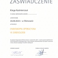 Powiększ obraz: certificate 8