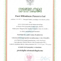 Powiększ obraz: certificate 29