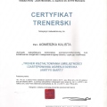 Powiększ obraz: certificate 2