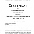 Powiększ obraz: certificate 3