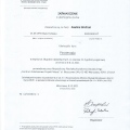 Powiększ obraz: certificate 11