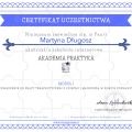 Powiększ obraz: certificate 2
