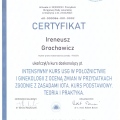 Powiększ obraz: certificate 62