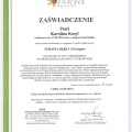 Powiększ obraz: certificate 2