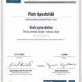 Powiększ obraz: certificate 8