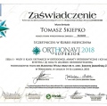 Powiększ obraz: certificate 11