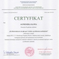 Powiększ obraz: certificate 5