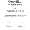 Powiększ obraz: certificate 1