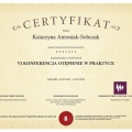 Powiększ obraz: certificate 3