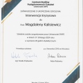 Powiększ obraz: certificate 2