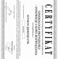 Powiększ obraz: certificate 1