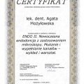 Powiększ obraz: certificate 29