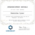 Powiększ obraz: certificate 3